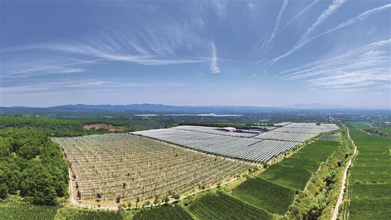 图为7月25日航拍的淳化润祥现代农业有限责任公司苹果种植基地。记者 许奥博摄