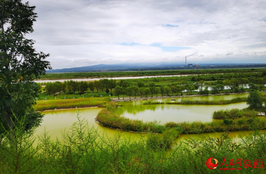潼关黄河湿地水草丰茂。人民网 李雨蔚摄