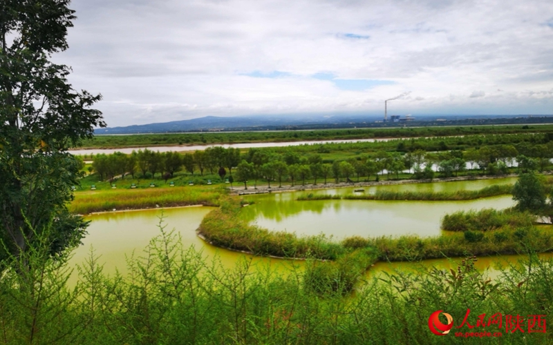 全景看渭南｜黄河湿地绿意盎然