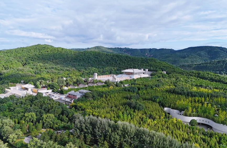 延安市黄陵县桥山，古柏苍翠繁茂。黄陵县供图