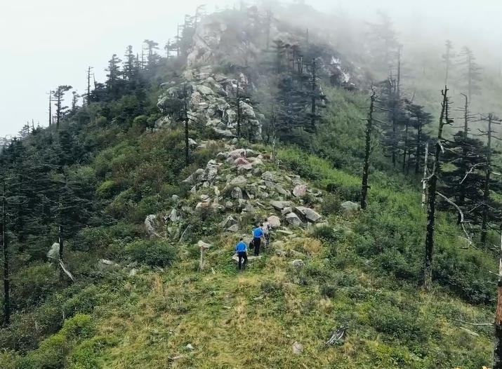 智守秦嶺 青綠永續