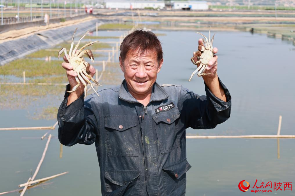 工作人员展示成熟大闸蟹。人民网 高一晨摄